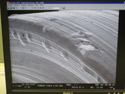 Magnifying Screws and Ants